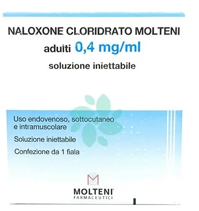 NALOXONE CLOR MOLT*F 0,4MG 1ML - latuafarmacia.org