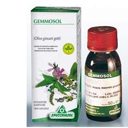 GEMMOSOL 3 IPPOCASTANO 50ML - latuafarmacia.org