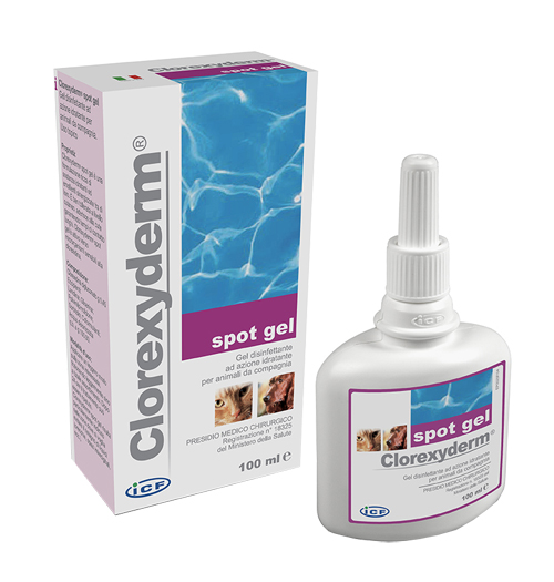 CLOREXYDERM SPOT GEL 100 ML - latuafarmacia.org