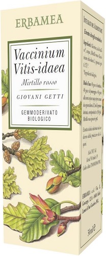 VACCINIUM VITIS IDAEA MIRTILLO ROSSO BIO 50 ML - latuafarmacia.org