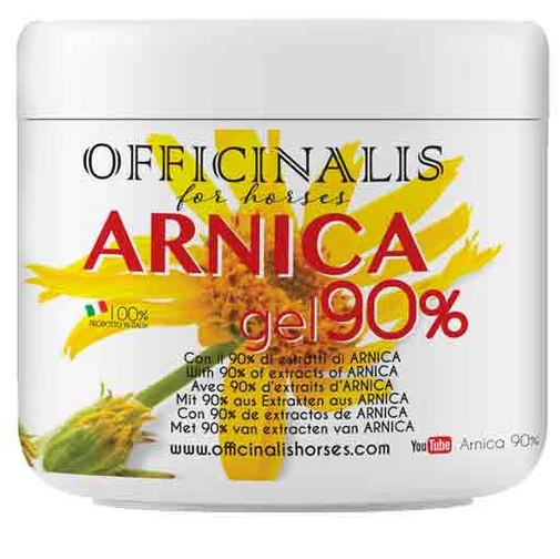 ARNICA GEL 90% 500 ML - latuafarmacia.org