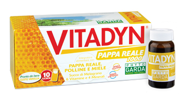 VITADYN PAPPA REALE 1000 10 FLACONCINI 10 ML - latuafarmacia.org