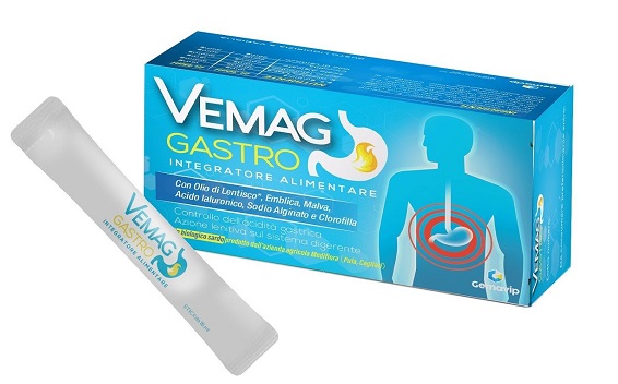 VEMAG GASTRO 20 STICK - latuafarmacia.org