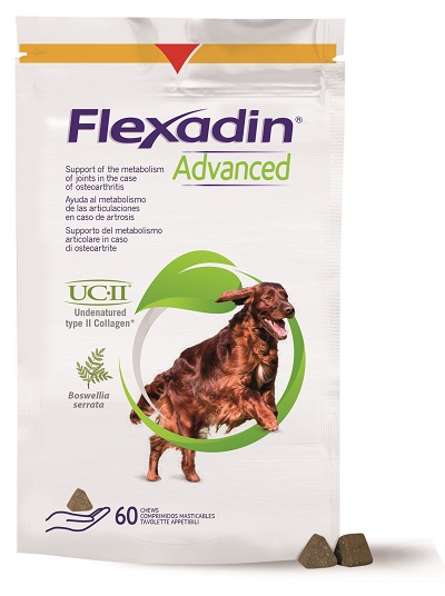 FLEXADIN ADVANCED CANE TUTTE LE TAGLIE 60 TAVOLETTE APPETIBILI - latuafarmacia.org